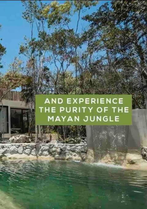 Villa Xuncari In The Heart Of The Jungle טולום מראה חיצוני תמונה